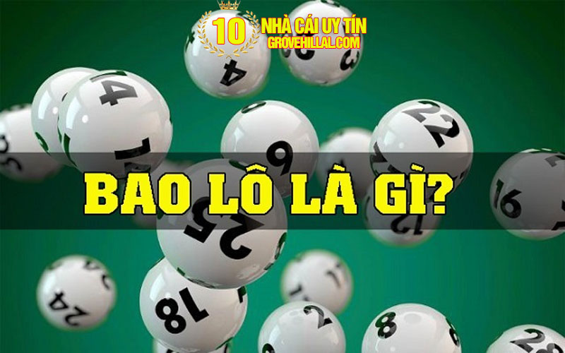 Bao lô là gì?