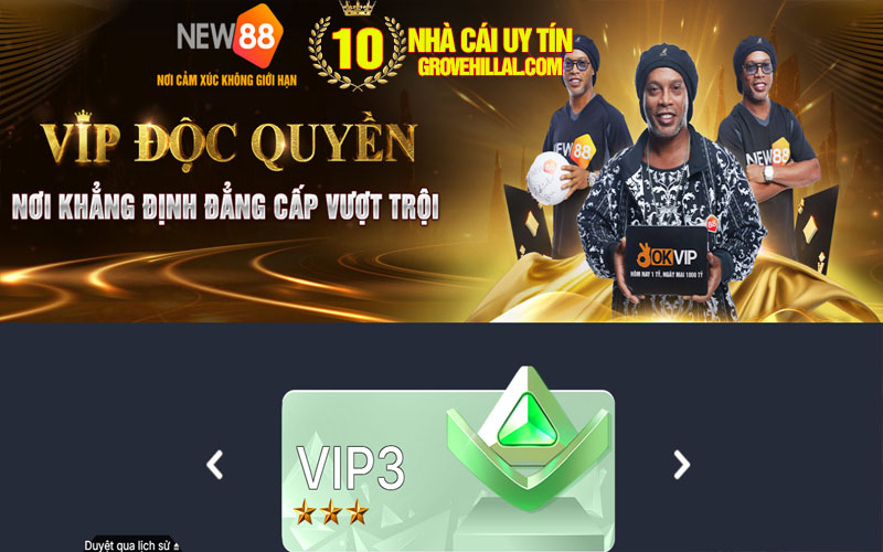Hệ thống VIP